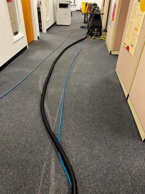 Commercial Carpet Cleaning in Manchester, NH (2)