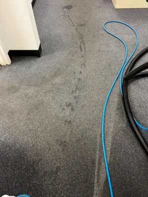 Commercial Carpet Cleaning in Manchester, NH (1)