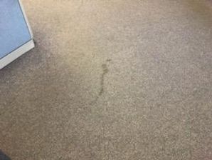Commercial Carpet Cleaning in MAnchester, NH (2)