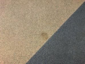 Commercial Carpet Cleaning in MAnchester, NH (3)