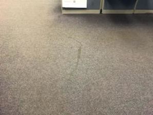 Commercial Carpet Cleaning in MAnchester, NH (4)